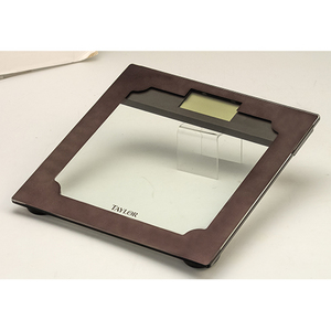 Bronze Digital Glass Scale