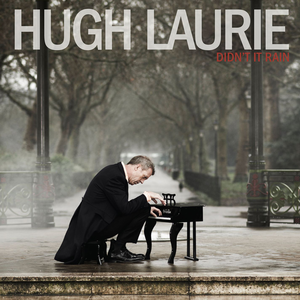 Didn't It Rain  - Hugh Laurie