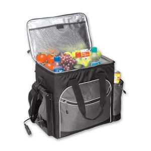 Koolatron Soft Bag Thermoelectric cooler  34 can