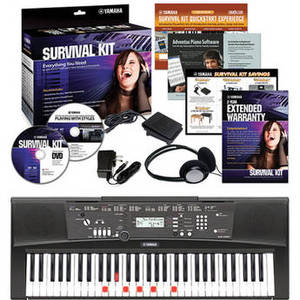 EZ-220 Lighted 61-Key Portable Keyboard Basics Kit