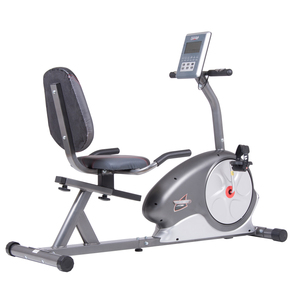 Body Champ Magnetic Recumbent Bike