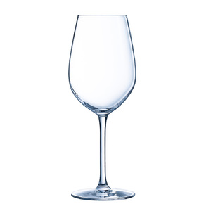 Domaine Tulip 16oz White Wine Glasses Set of 6