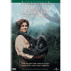 Gorillas in the Mist