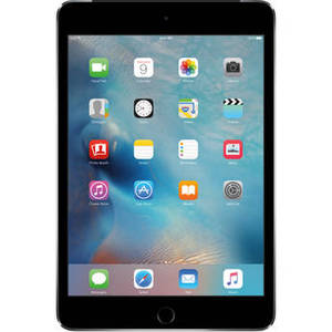128GB iPad mini 4 (Wi-Fi + 4G LTE, Space Gray)
