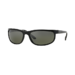 Ray-Ban RB2027 Polarized Predator 2 Sunglasses